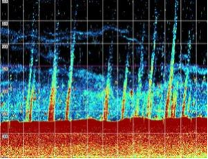 Metano del lecho marino