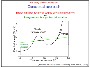 Runaway - Schellnüber