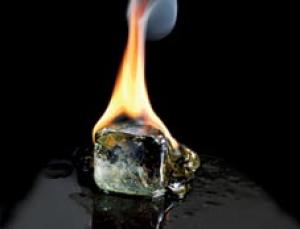 Imagen Blickwinkel Alamy