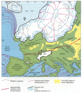 Last Glacial Maximum (20000 anys)