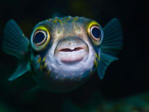 Fuente: Foto redbrickstock.com/Alamy